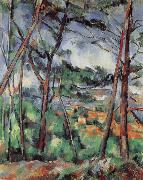 Paul Cezanne Lanscape near Aix-the Plain of the arc river France oil painting artist